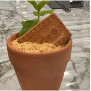 Chachi Loves Parle G